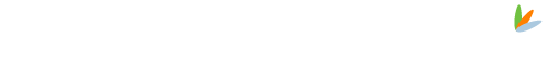 Web Marketing Pro Logo